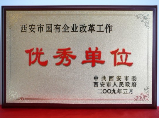 2009年5月，被西安市委、市当驹炖为西安市国企业鼎新工作优良单元