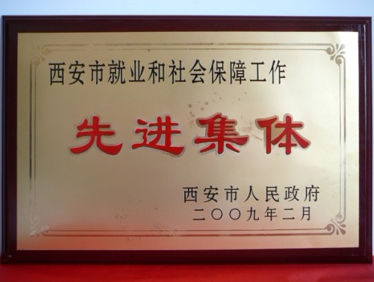 2009年2月，被西安市当驹炖为西安市就业和社会保险工作先进集体