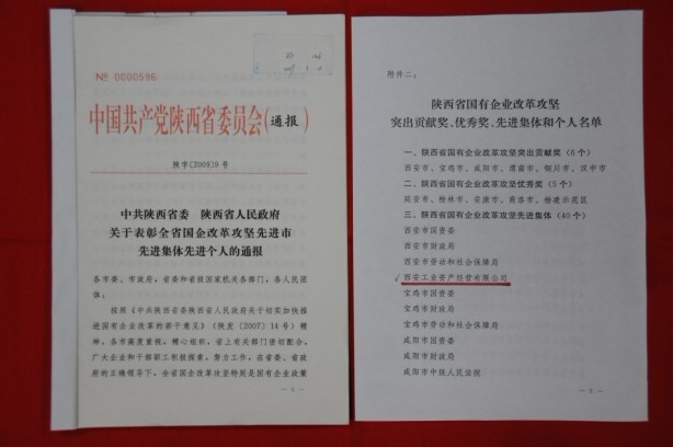 2009年2月，被陕西省委、省敌灾授予陕西省国有企业鼎新攻坚先进集体